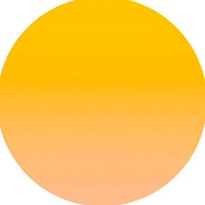 Meet your Posher, Leming